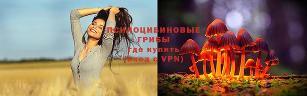 ALPHA-PVP Алексин