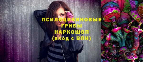 2c-b Алексеевка